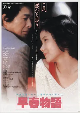 白塔之外在线观看海报